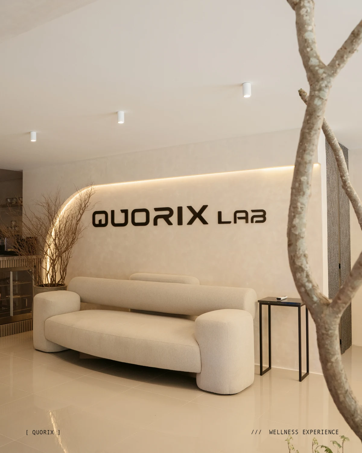 Sofá na recepção da Quorix Lab, ao lado de uma árvore e da marca na parede